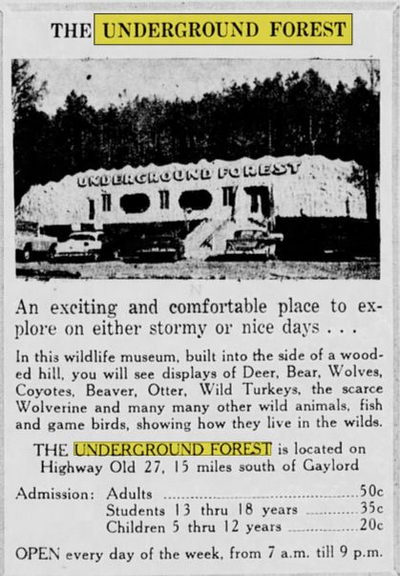 Underground Forest - 1963 Ad